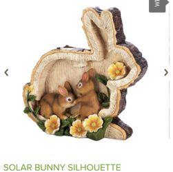 Solar bunny Silhouette