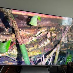 Samsung 55” 4K Smart TV MU8000 + Original Samsung One Connect Box