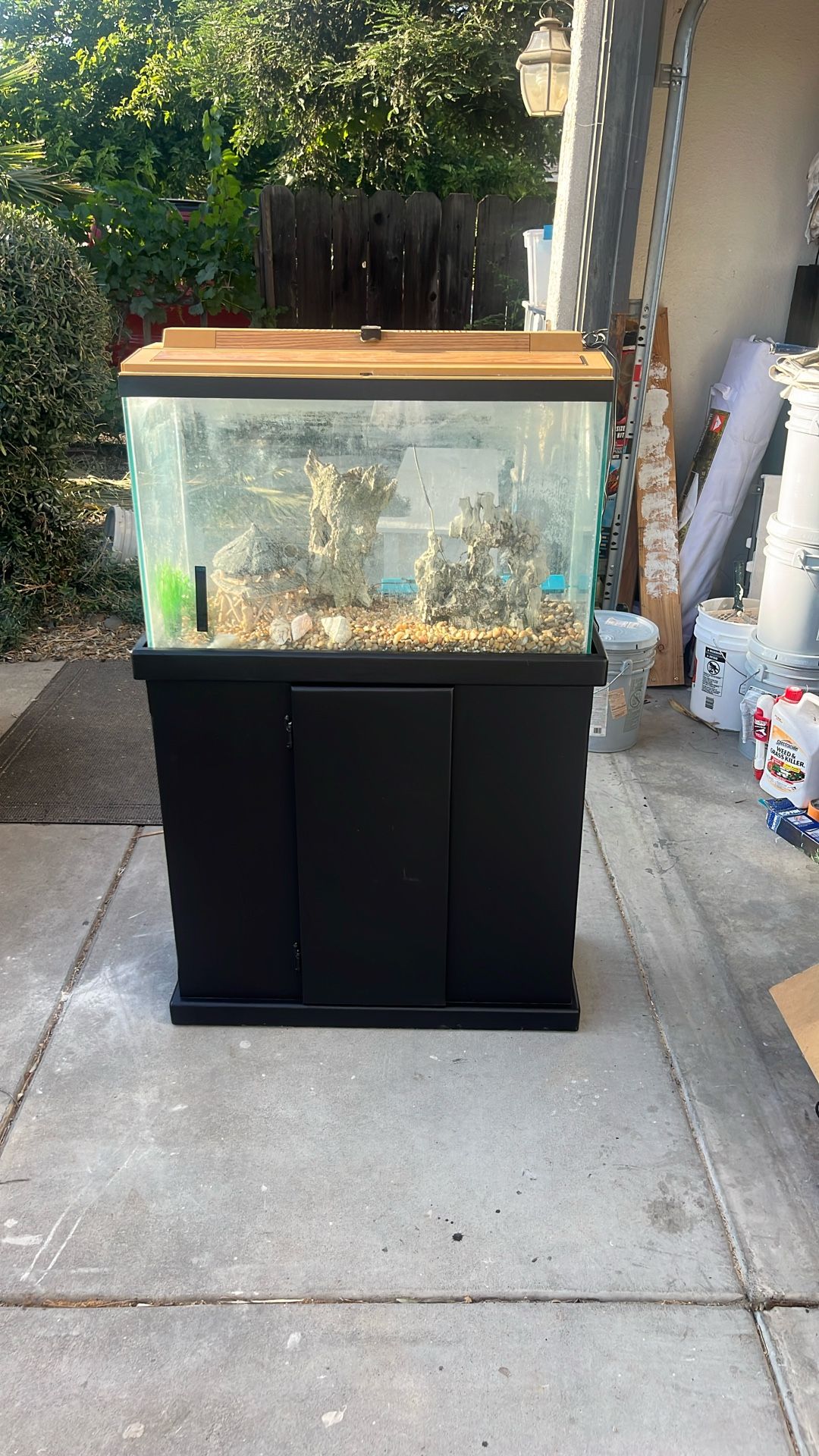 Fish Tank