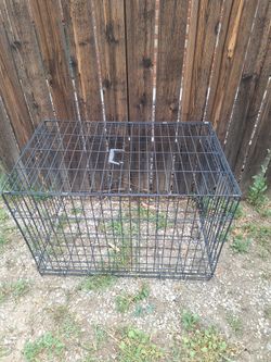 Dog Crate