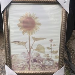 Picture Frame 18x24