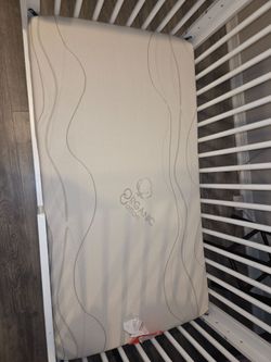 Wonder dream toddler crib mattress