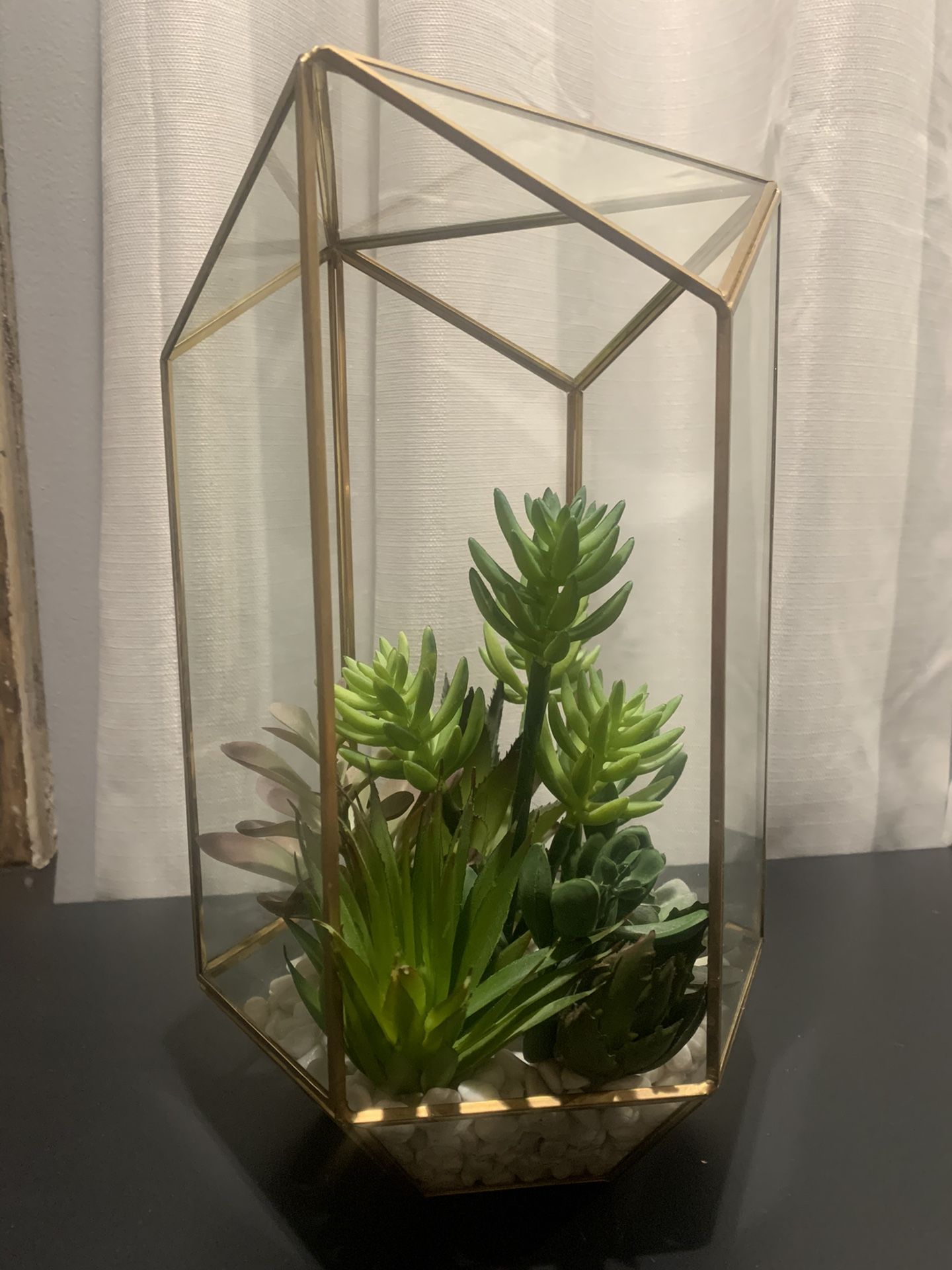 Succulent decor