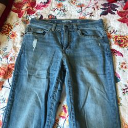 Sonoma Blue Skinny Jeans