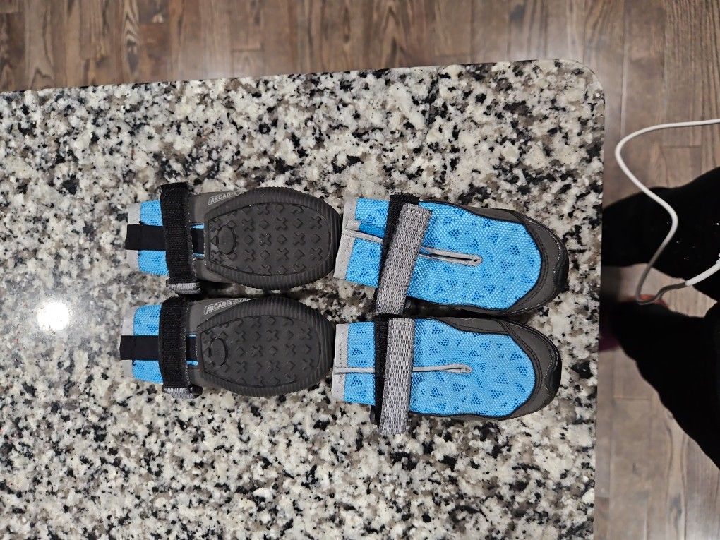 Arcadia Trail Shoes For Dog