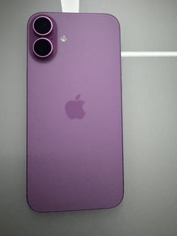 16 plus