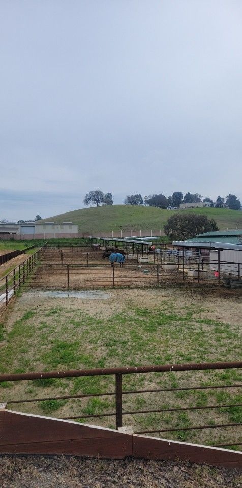 Open stalls/paddock/pasture For Horses