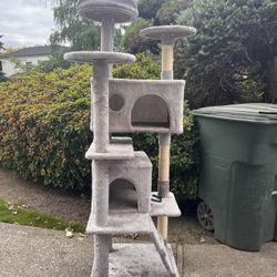 cat climbing tower