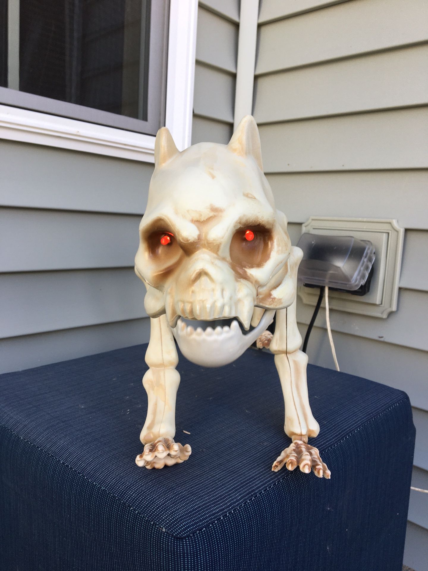 Halloween skeleton dog