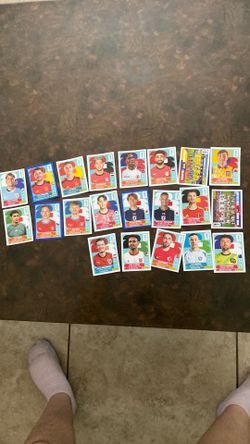 FIFA panini cards