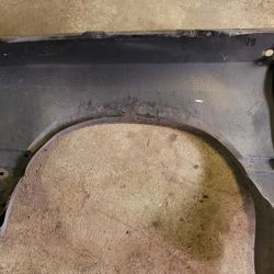 Fox Body Parts