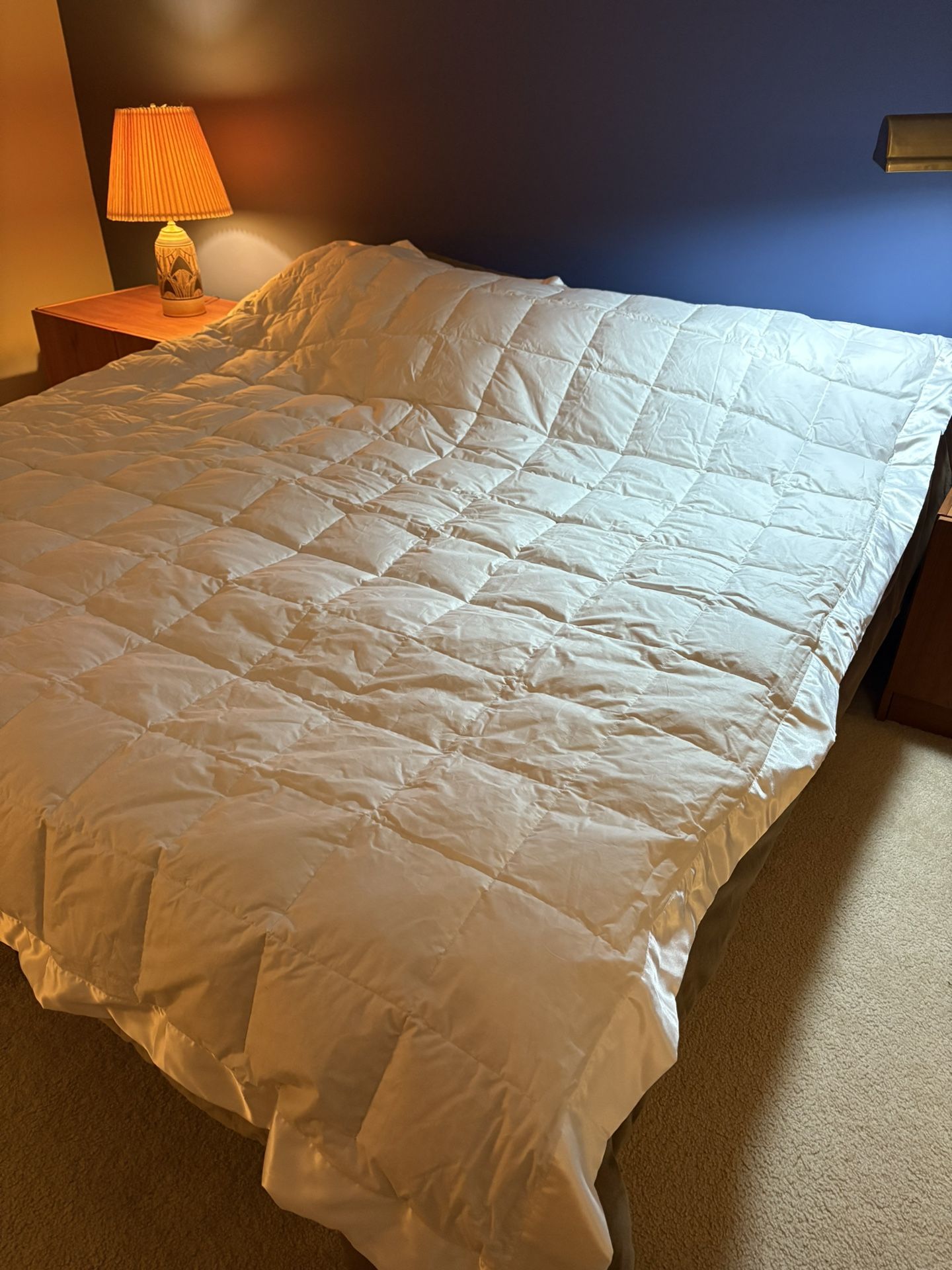 1 Brand new boxed King Pink Down Comforters