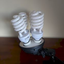 Photography Lights 
