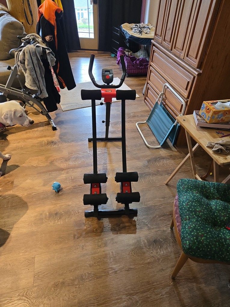 Fitlaya Ab Machine