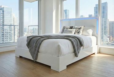 Brand New Queen Bed with Led Lights / Cama Queen con Luces Led Nueva En Su Caja … Fast 🚚