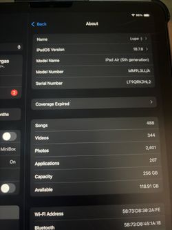 iPad 5th Generation 256 gb