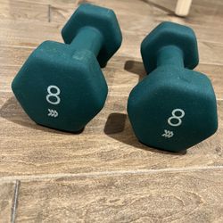 8 Pound Dumbbell X2 All In Motion