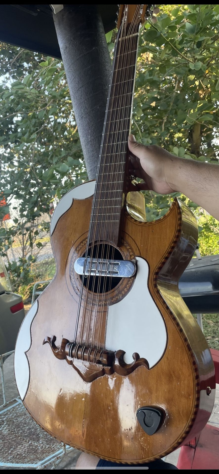 Macias Bajo Sexto 1967