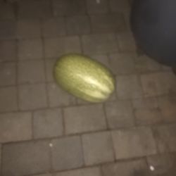 Chilacayotes Mexicanos