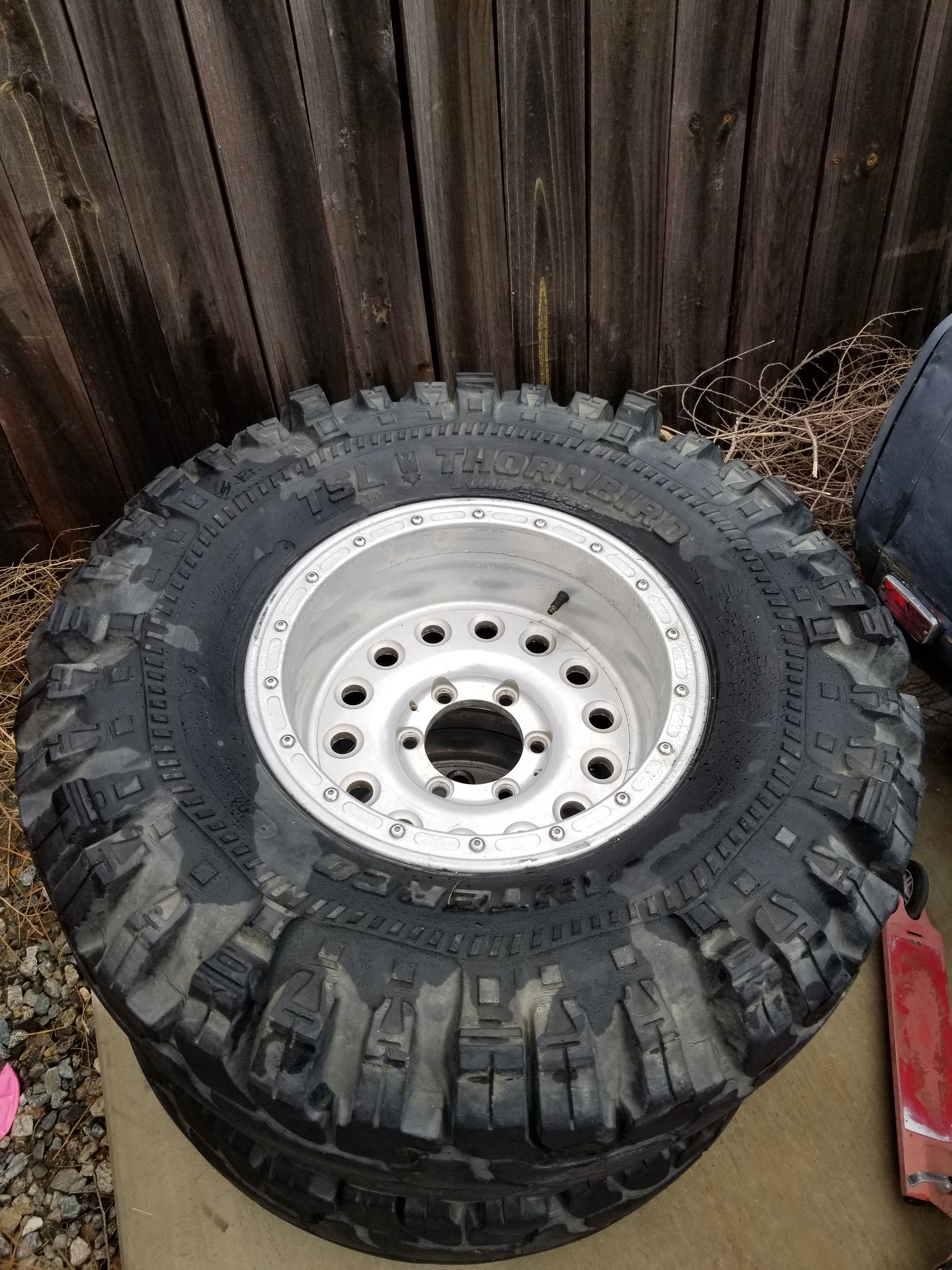 4 Super swamper thornbirds 35 14.50 16.5