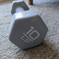 10lb Dumbbell