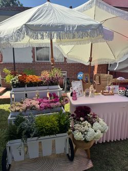 Bloom bar