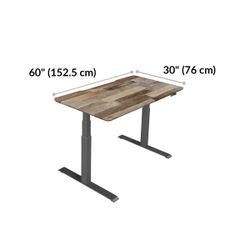  VariDesk Electric Standing Desk 60x30 (Retail: $799)