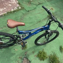 Anzer Peak DS Columbia Bike