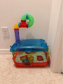 House by mouse
