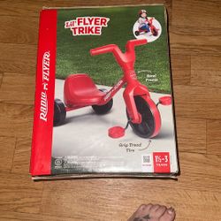 Lil Flyer Trike