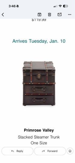 Vintage Vibes Espresso Leather And Wood Trunk Accent Side End Table