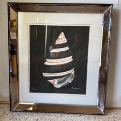 Beautiful John Matthew Moore Framed Shell Giclee Print.