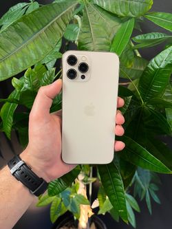 iPhone 12 Pro Max - Unlocked - 256GB