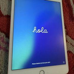 Apple ipad Mini 5th Generation 68GB