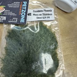 Fissidens Phoenix Moss on Stainless Steel - Fissidens Fontanus Moss Aquascape Aquascaping Planted Aquarium Fish Tank 