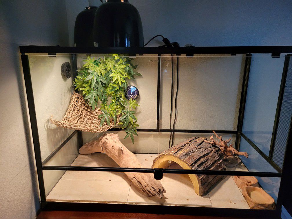 Reptile Enclosure And Accessories 