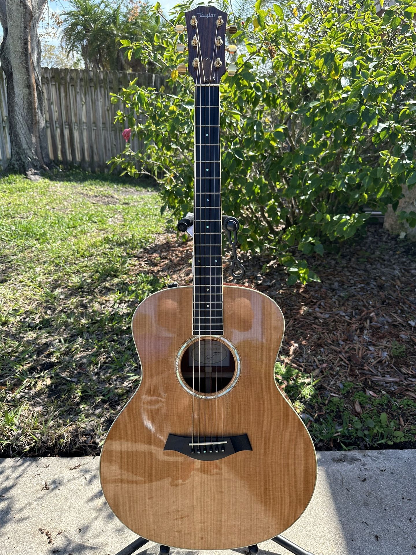 2008 Taylor GS-5