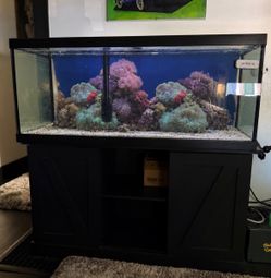 Fish tank