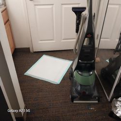 Bissell Deep Clean Professional  Pet