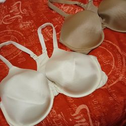 Brasiles  Talla  42D