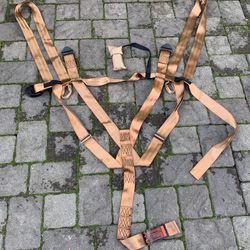 Summit Safety Harness