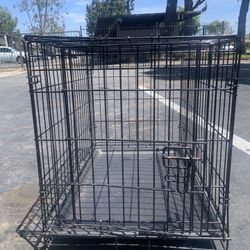 Dog kennel 