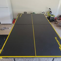 Table Tennis / Ping Pong Table