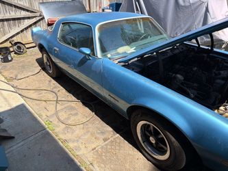 1980 Pontiac Firebird