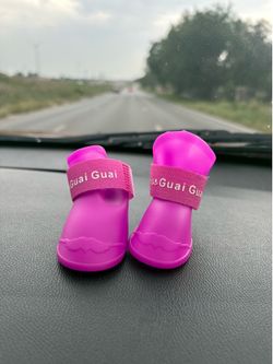 dog shoes