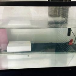 10 Gal Fish Tank 