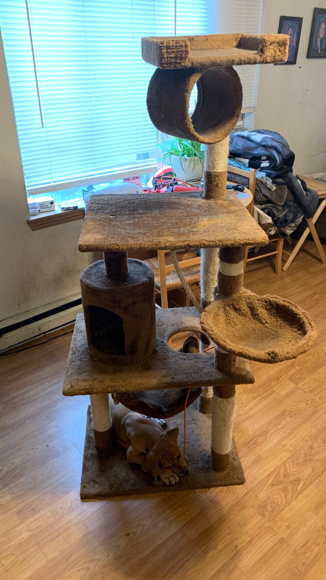 Pet club cat tower