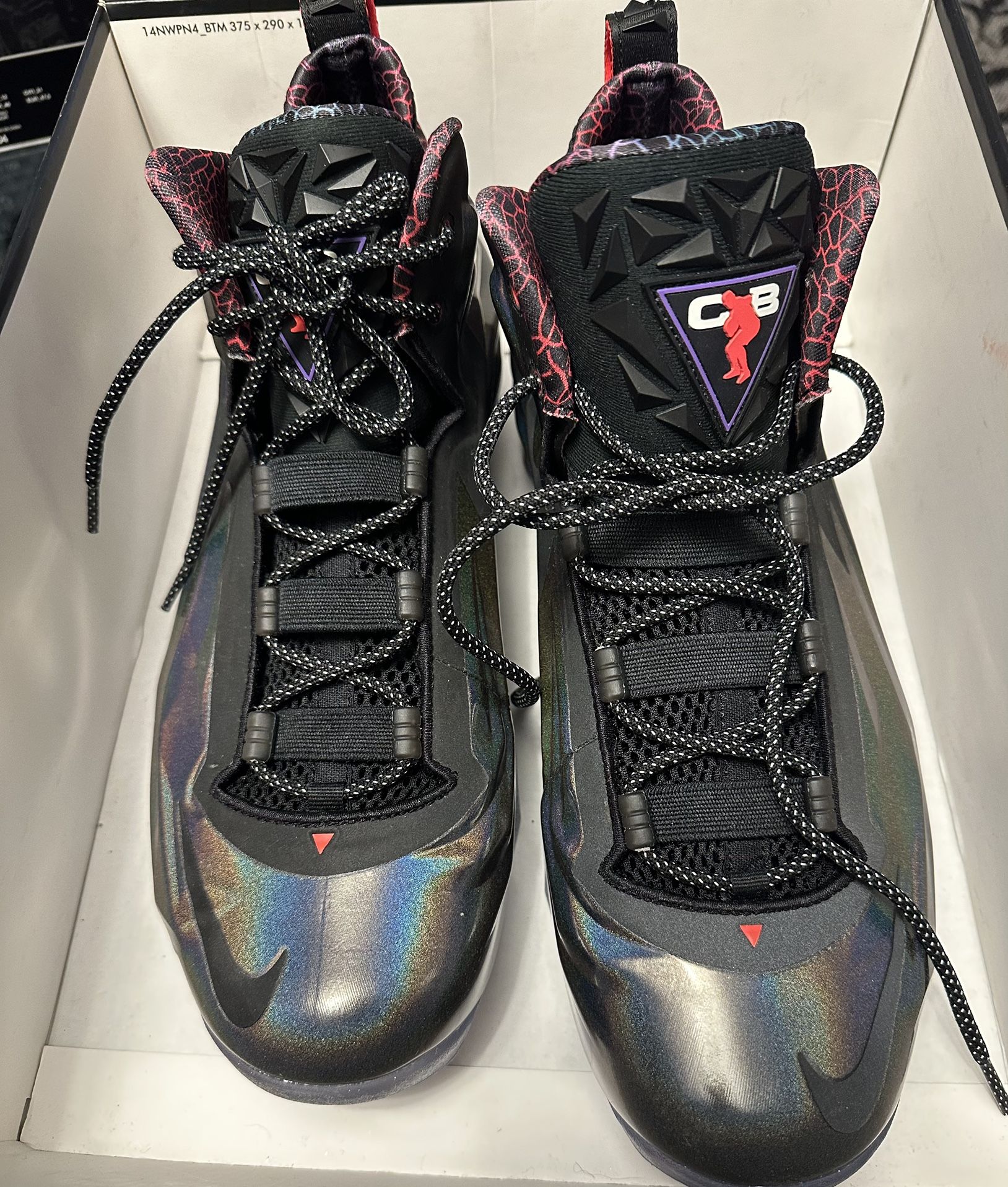 Nike Chuck Posite Purple Haze Charles Barkley Shoes Barkley Posite Max  main image 2