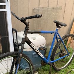 Nishiki Good Condition Not Brakes