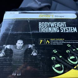 Suspension Fitness Straps 